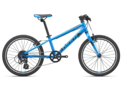 2021 Giant ARX 20 Kids Bike In Blue