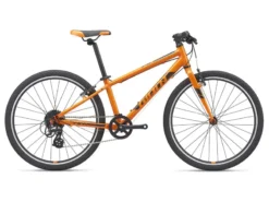 2021 Giant ARX 24 Kids Bike In Orange