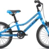 2021 Giant ARX 16 Kids Bike In Blue