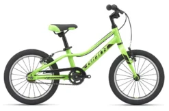 2019 Giant ARX 16 Kids Bike In Green