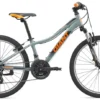 2019 Giant XtC Jr 1 24 Kids Bike In Grey