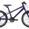 2020 Giant ARX 20 Childs Bike In Purple