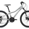 2020 Liv Enchant 24 Disc Childs Bike In Silver