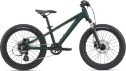 Giant STP 20 Kid's Mountain Bike In Trekking Green