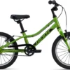 Giant ARX 16 F/W Kid's Bike In Green