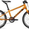 Giant ARX 20 Kid's Bike In Orange